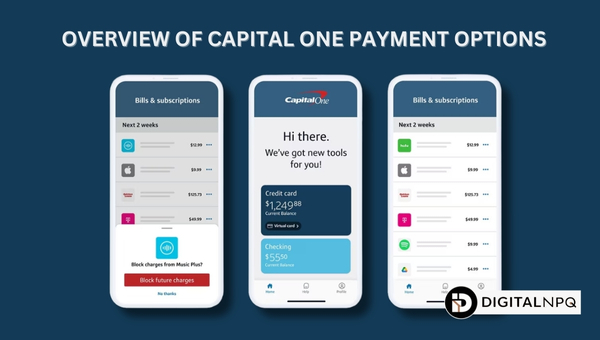 Overview of Capital One Payment Options