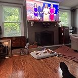 Samsung 65-Inch Class Neo QLED 4K QN85C Series Neo Quantum HDR, Dolby Atmos, Object Tracking Sound, Motion Xcelerator Turbo+, Gaming Hub, Smart TV with Alexa Built-in (QN65QN85CAFXZA, 2023 Model) - Customer Photo 4