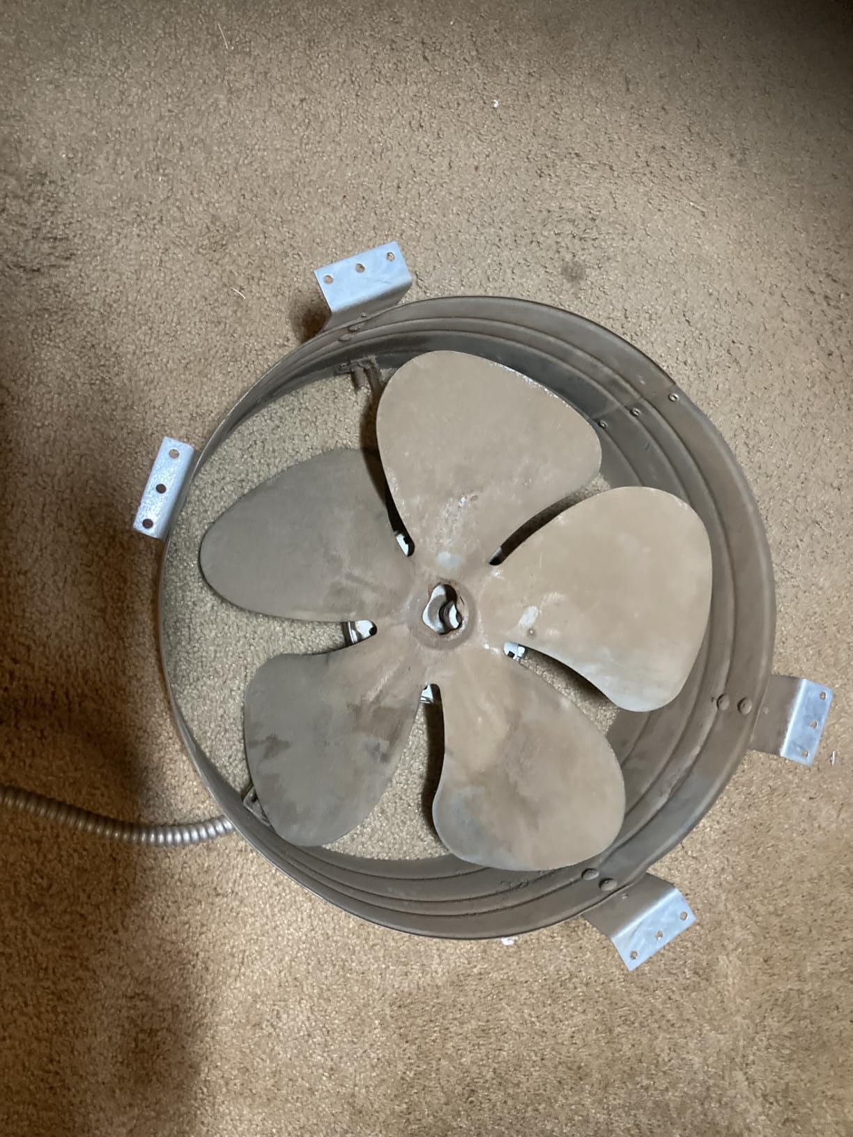 Cool Attic CX1500 Gable Mount Power Attic Ventilator with 2.6-Amp 60-Hz Motor and 14-Inch Blade customer photo 1