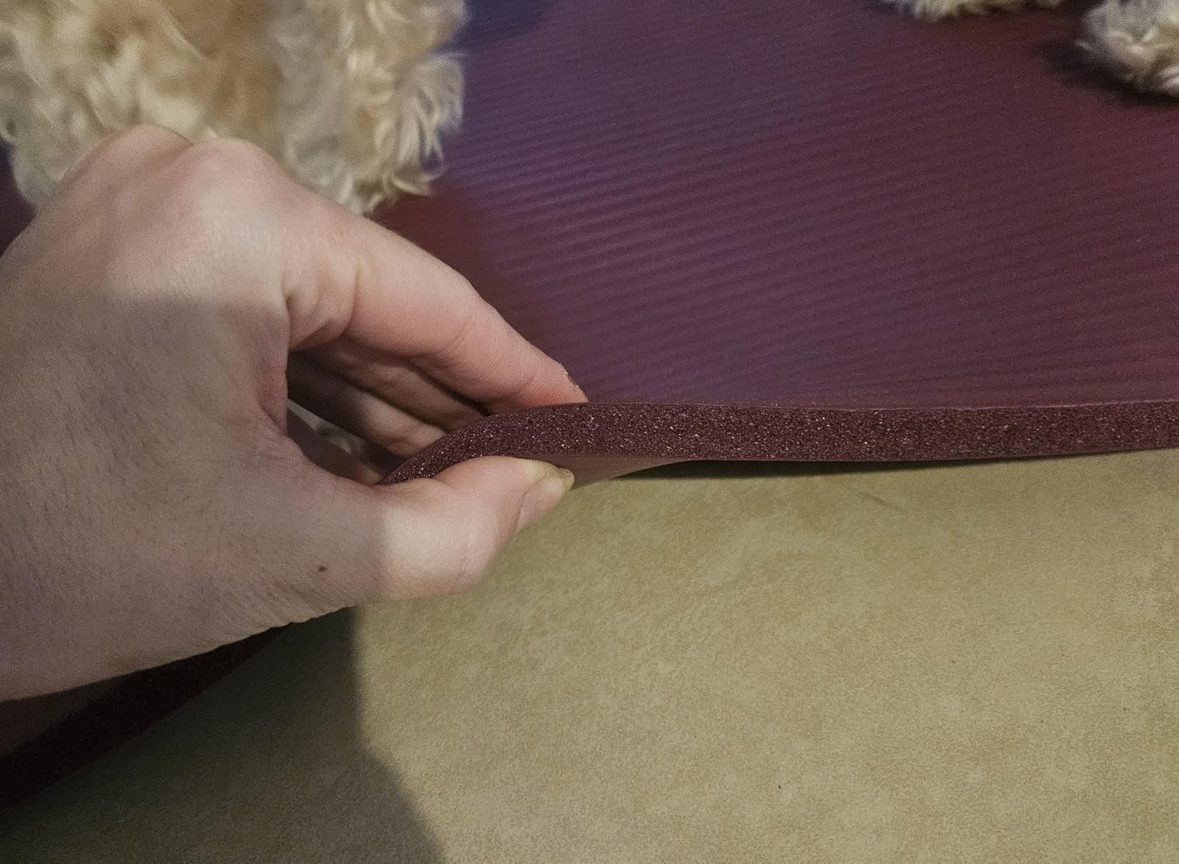 Fitvids Yoga Mat, 1/2-Inch Extra Thick High Density Exercise Mat, Anti-Tear with Carrying Strap customer photo 1