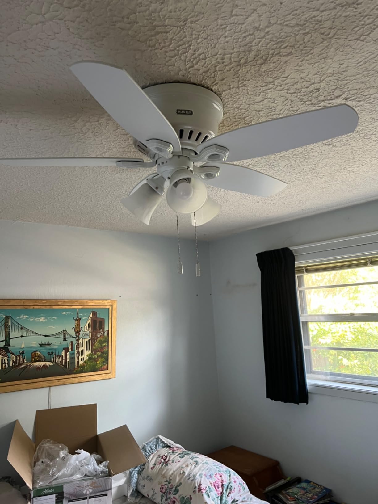 Hunter 42 inch Indoor Ceiling Fan with LED Lights - White Ceiling Fan with Pull Chain, For Bedroom, Living Room, or Kitchen, Low Profile Flush Mount, No Remote, 5 Blades - Builder 51090, Snow White customer photo 2