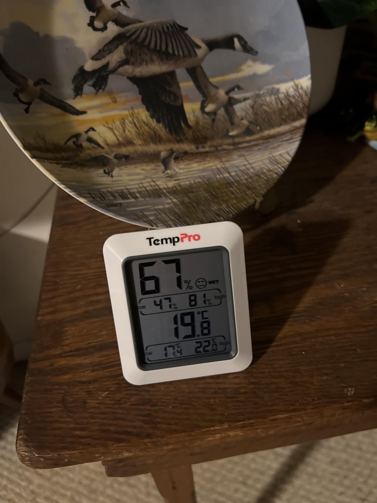 TempPro TP50 Digital Hygrometer Indoor Thermometer Room Thermometer and Humidity Gauge with Temperature Humidity Monitor customer photo 2