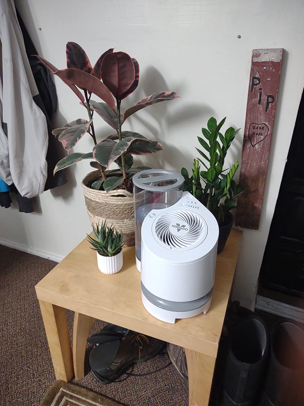 Vornado EV100 Evaporative Whole Room Humidifier with SimpleTank, Easy-Fill, 1 Gallon Capacity, 2 Speeds, Electronic Humidistat, Antimicrobial Treated Wick, Perfect for Home, Bedroom, and Living Room customer photo 1
