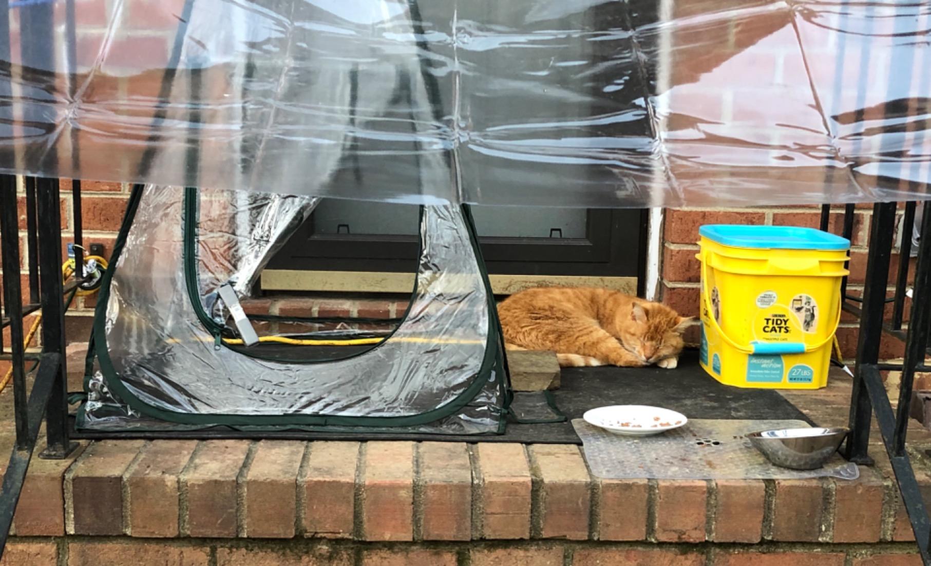Mini Pop Up Greenhouse; 27