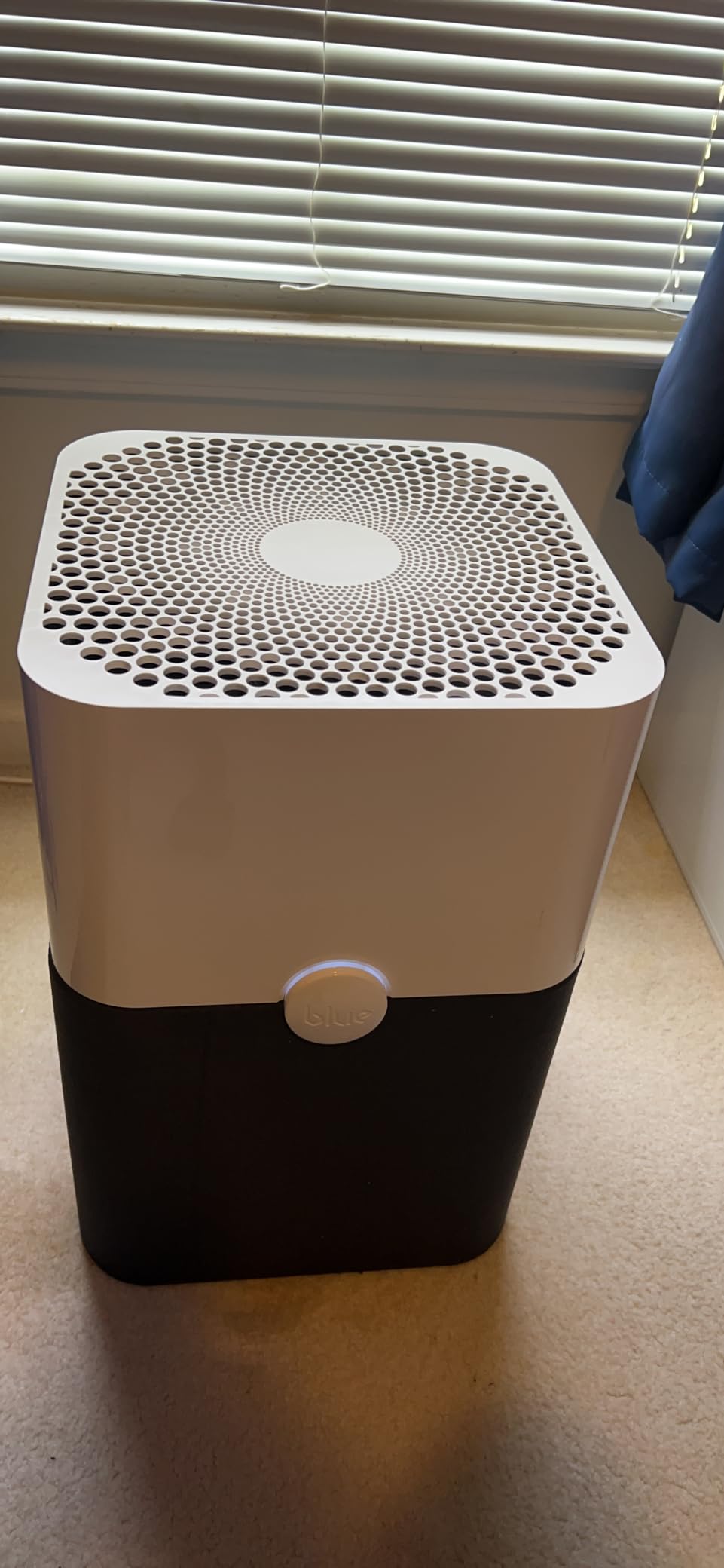 Genuine Blue Pure 211+ Replacement Filter for 211+ Air Purifiers - AHAM Certified, HEPASilent Dual Filtration, Removes Particles & Odors, Genuine Carbon Filter customer photo 2