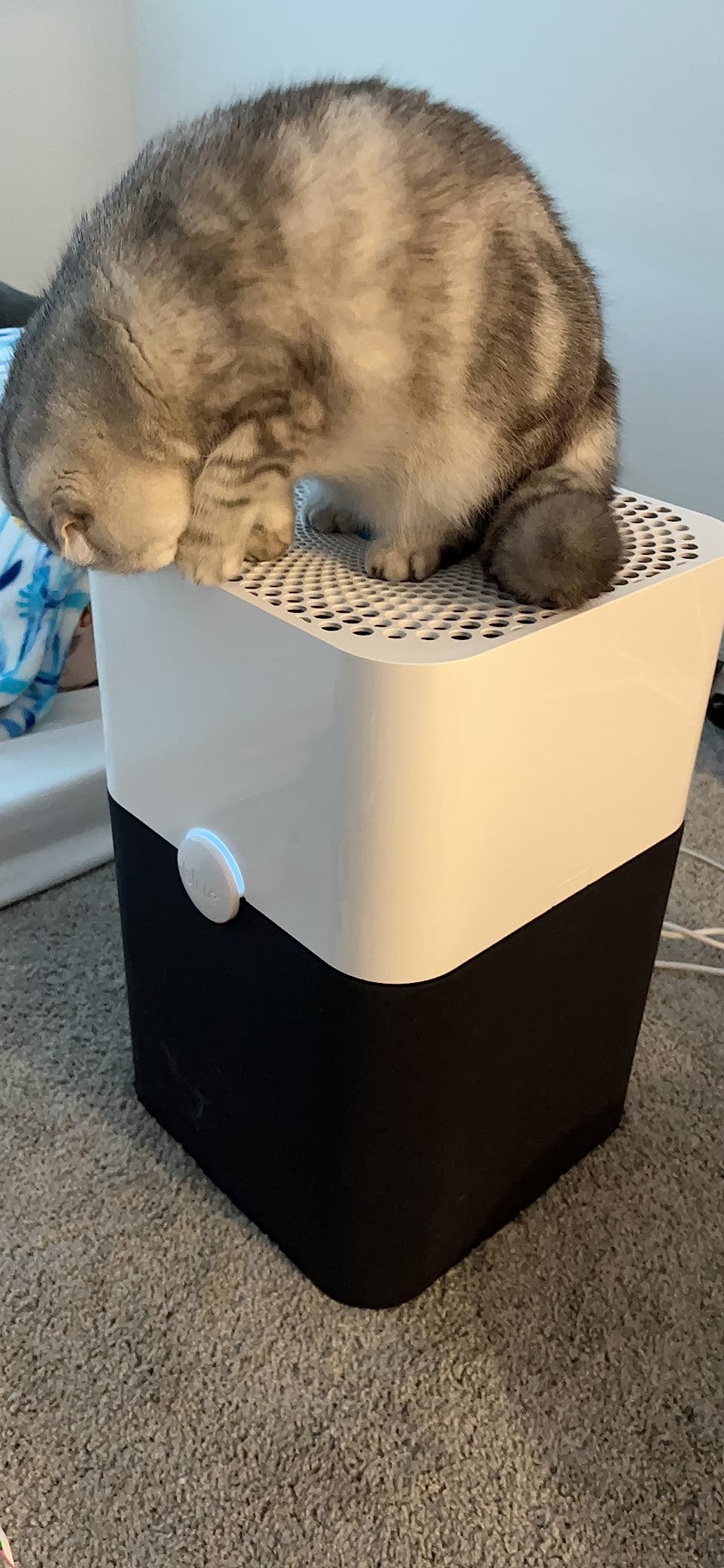 BLUEAIR Air Purifier Large Room, Air Cleaner for Dust Pet Dander Smoke Mold Pollen Bacteria Allergen, Odor Removal, for Home Bedroom Living Room, Washable Pre Filter, HEPASilent, Blue 211+ (Non-Auto) customer photo 1