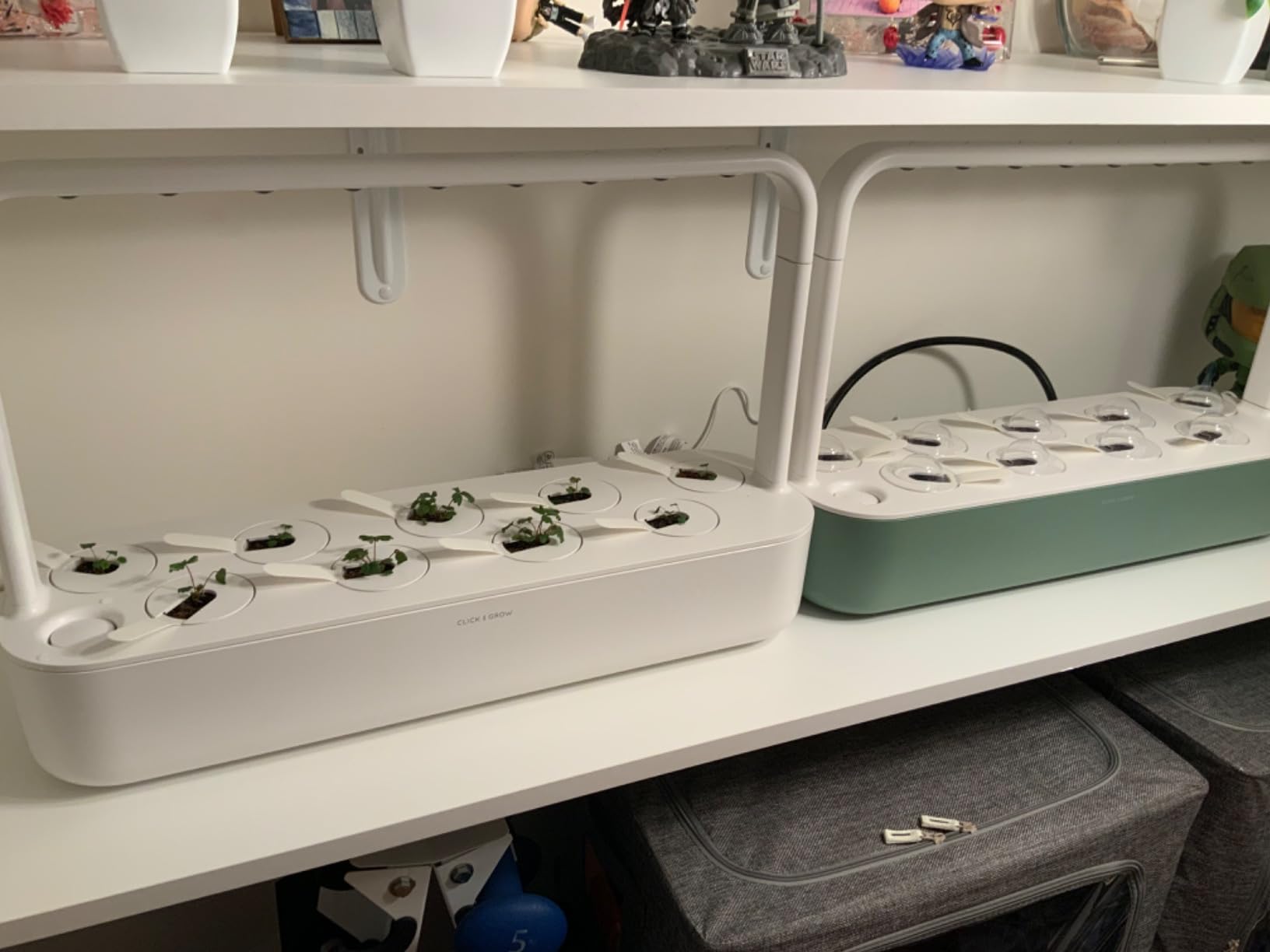 Click & Grow Smart Garden 9 Indoor Herb Garden Kit with Grow Light, 9 Plant Pods, White customer photo 2