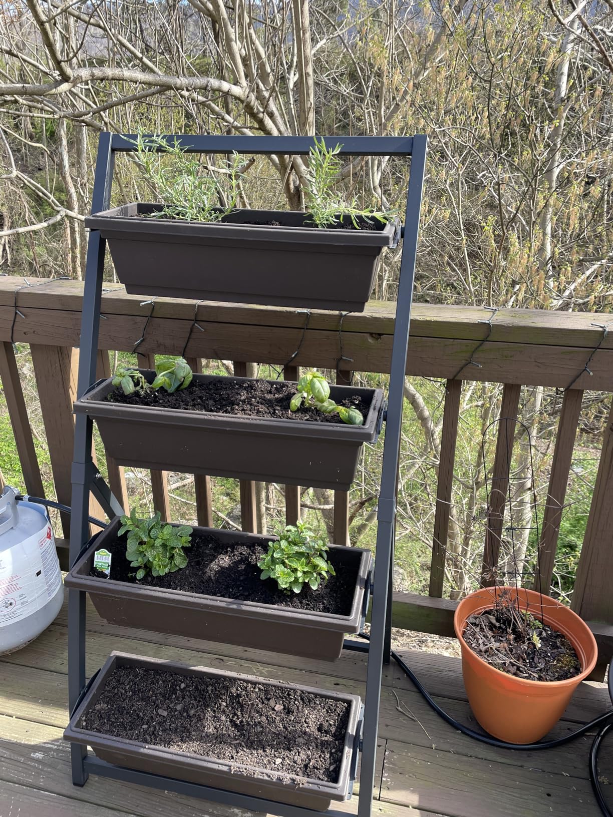 Outland Living 4-Ft Raised Garden Bed - Vertical Garden Freestanding Elevated Planters 4 Container Boxes - Good for Patio Balcony Indoor Outdoor - Perfect to Grow Vegetables Herbs Flowers customer photo 1