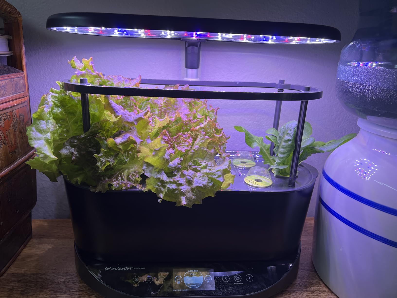 AeroGarden Bounty Basic - Indoor Garden with LED Grow Light, Black customer photo 1