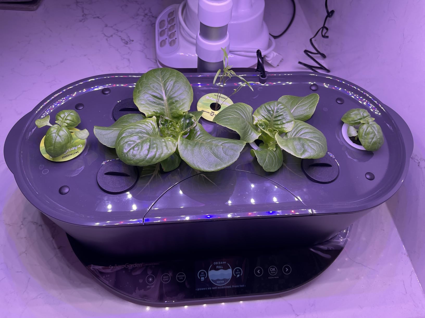 AeroGarden Bounty Basic - Indoor Garden with LED Grow Light, Black customer photo 2