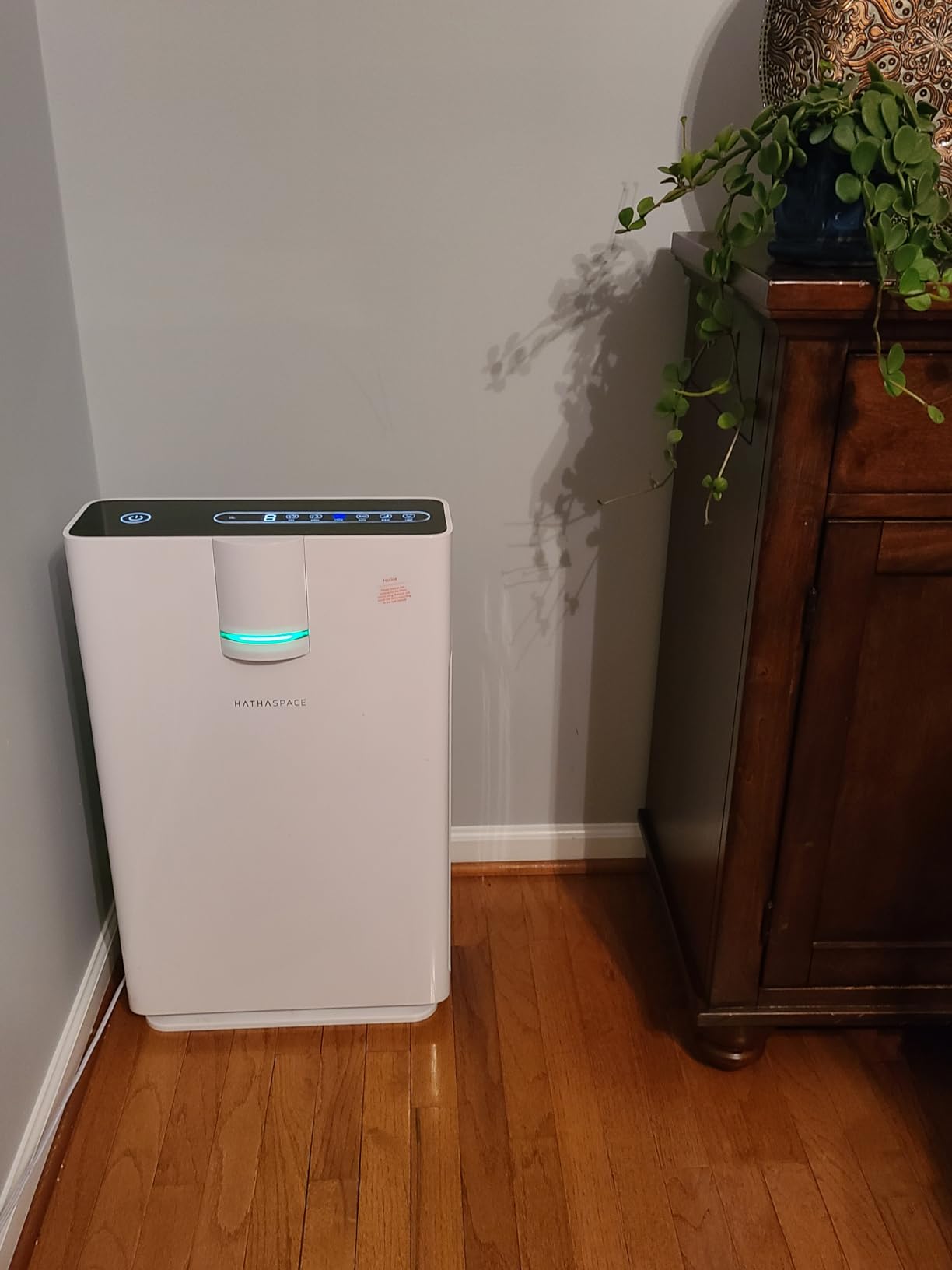 HATHASPACE Smart Air Purifiers - True HEPA Air Purifier, Cleaner & Filter for Allergies, Smoke, Pets - Eliminator of 99.9% of Dust, Pet Hair, Odors - HSP002-1500 Sq. Ft. customer photo 2