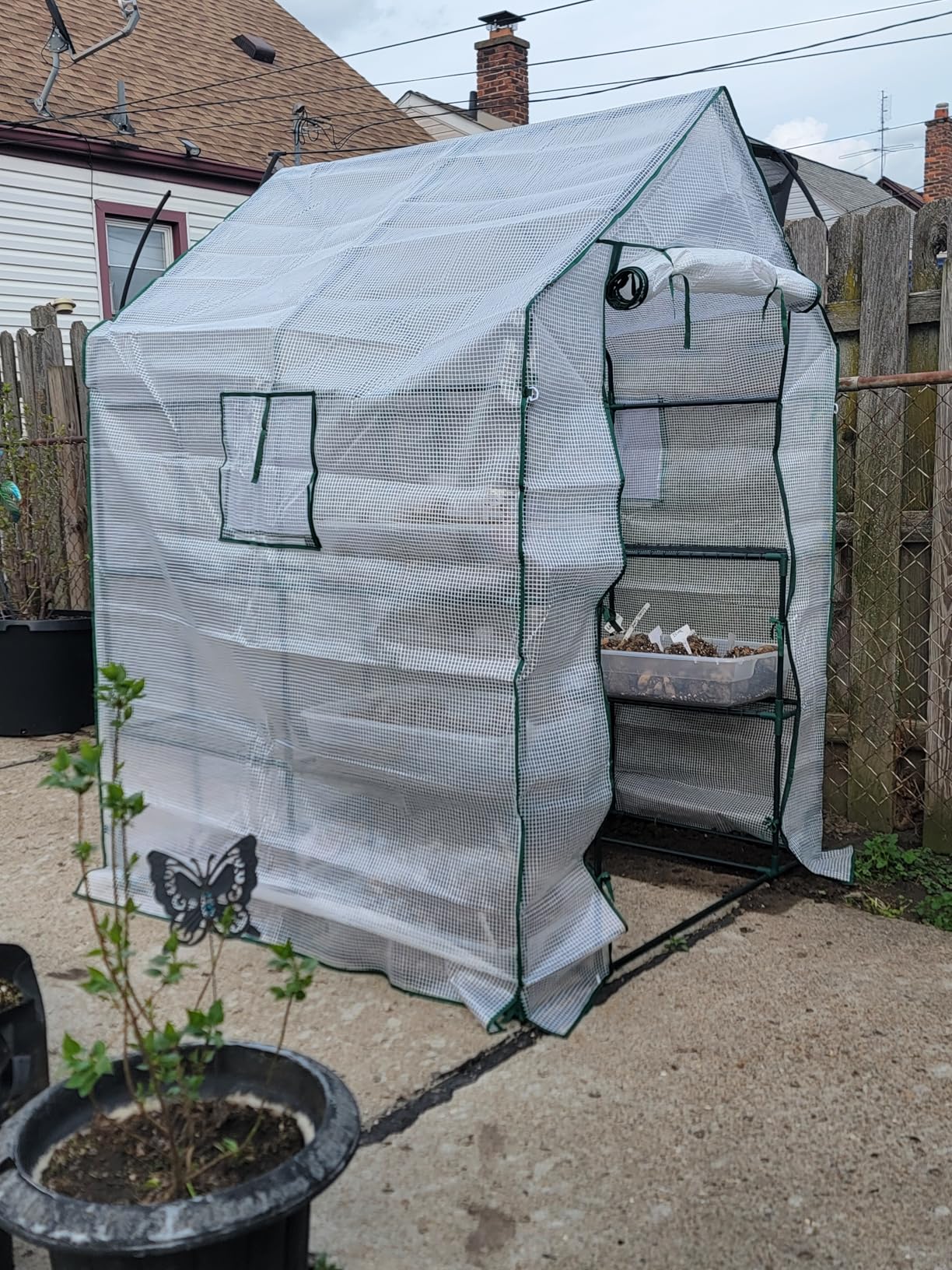 Mini Greenhouse, Greenhouses for Outdoors, Portable Walk in Green House for Garden Plants that Need Frost Protection and Away from Animals (56