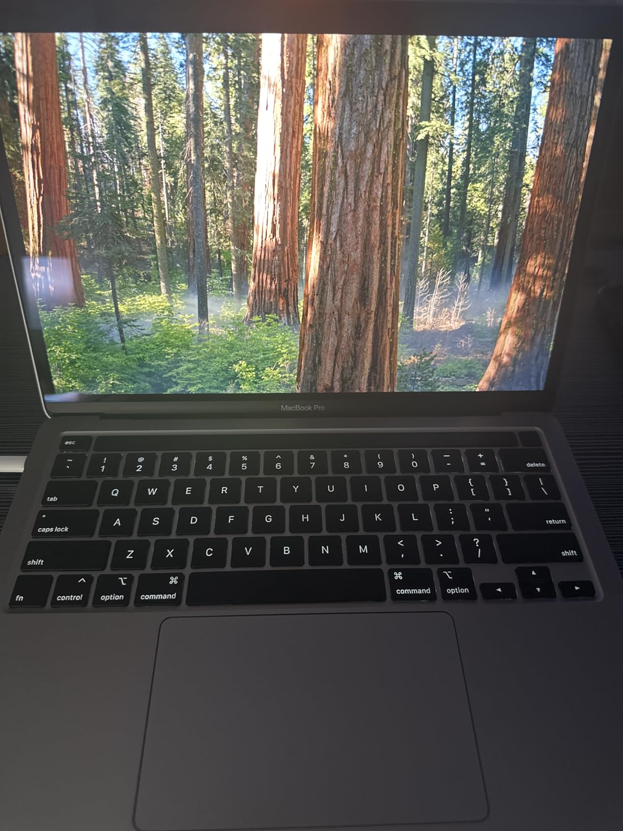 New Apple MacBook Pro (13-inch, 8GB RAM, 256GB Storage) - Space Gray (Renewed) customer photo 1