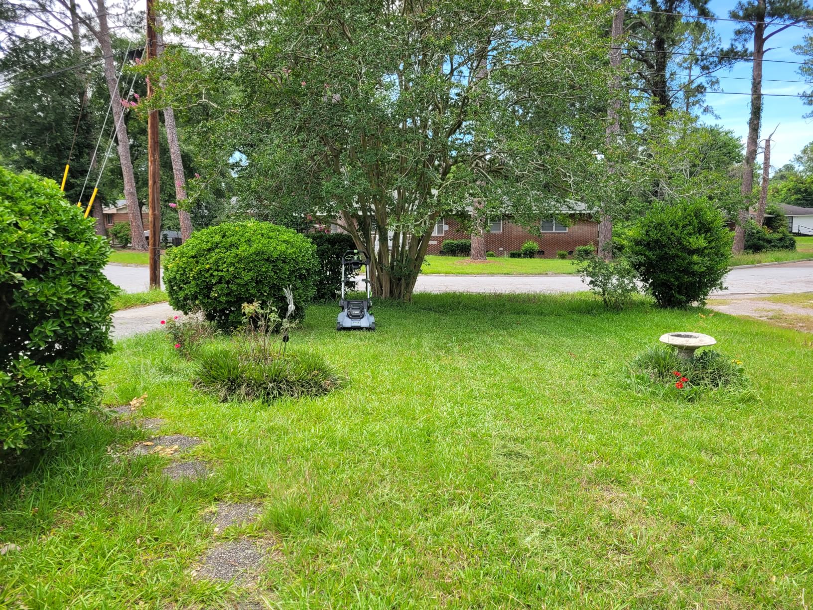 EGO POWER+ Electric Lawn Mower, Self-Propelled Cordless with Select Cut and Touch Drive, Includes 56V 7.5Ah Battery and Rapid Charger - LM2135SP customer photo 1