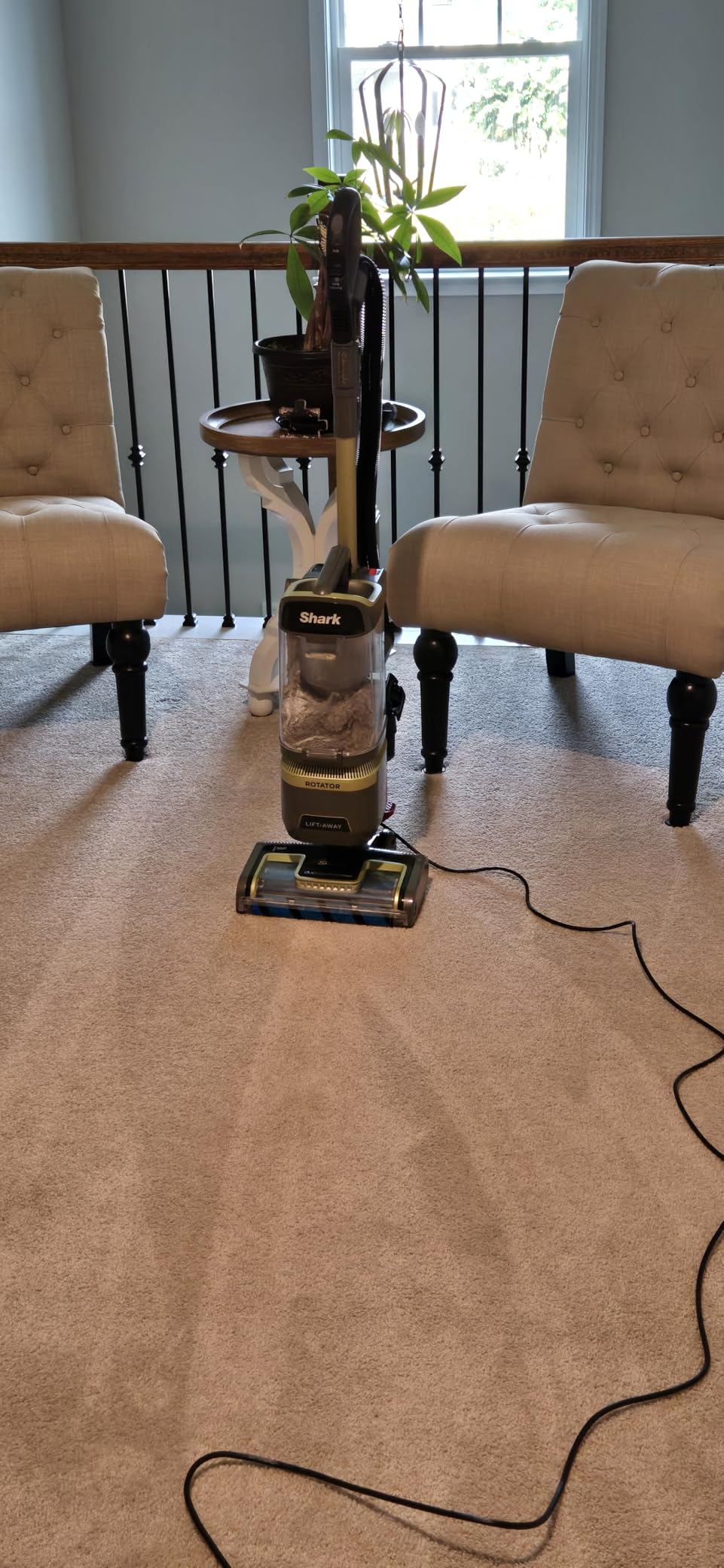 Shark | Upright Vacuum Cleaner for Home | Rotator Lift-Away | No Hair Wrap | HEPA Filter | Lightweight Bagless Vacuum for Pet Hair | LED Headlights For Carpets & Hardwood Floors | Silver | LA502 customer photo 2