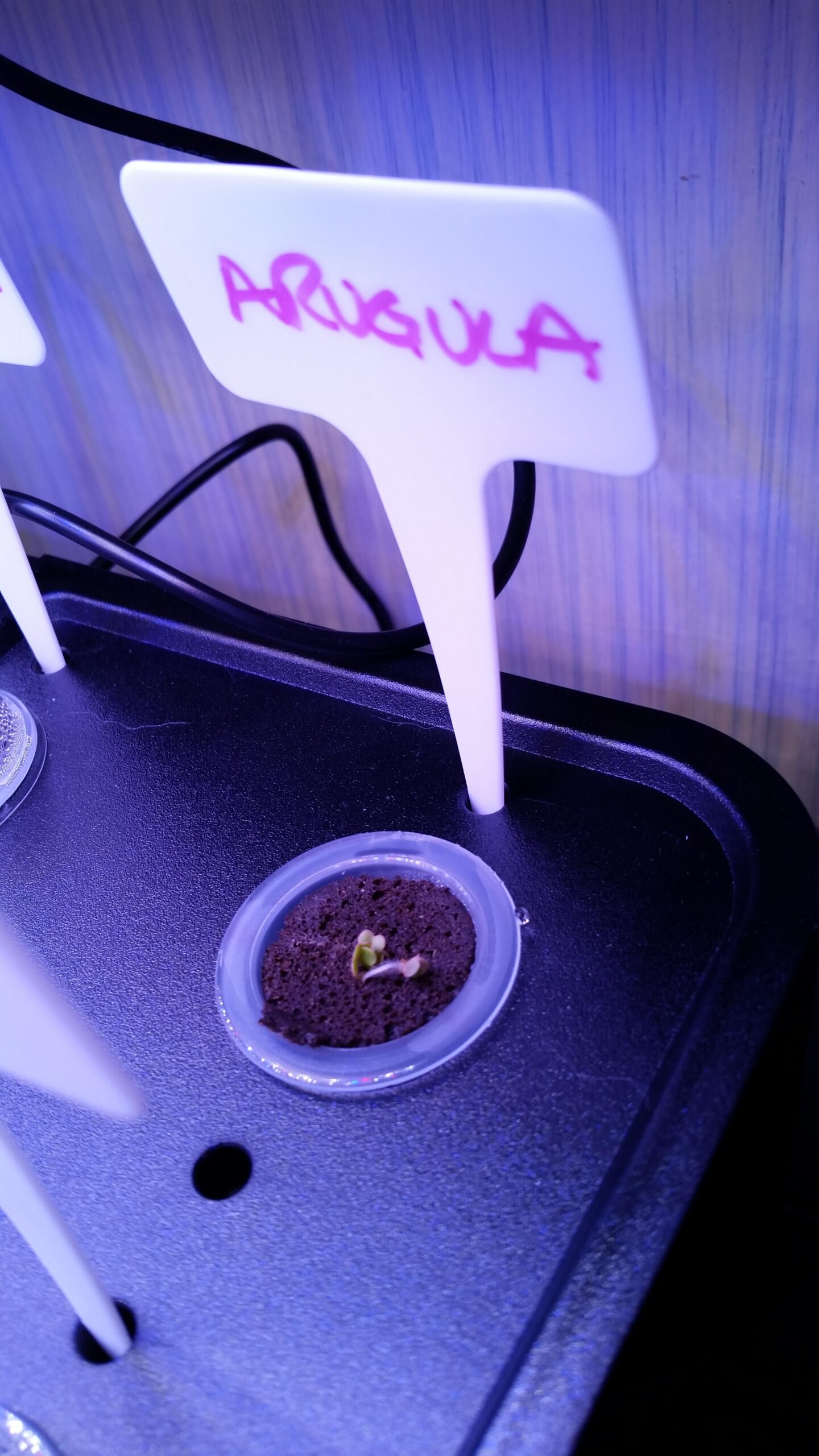 iDOO Hydroponics Growing System Kit 12 Pods, Indoor Herb Garden with LED Grow Light, Built-in Fan, Auto-Timer customer photo 2