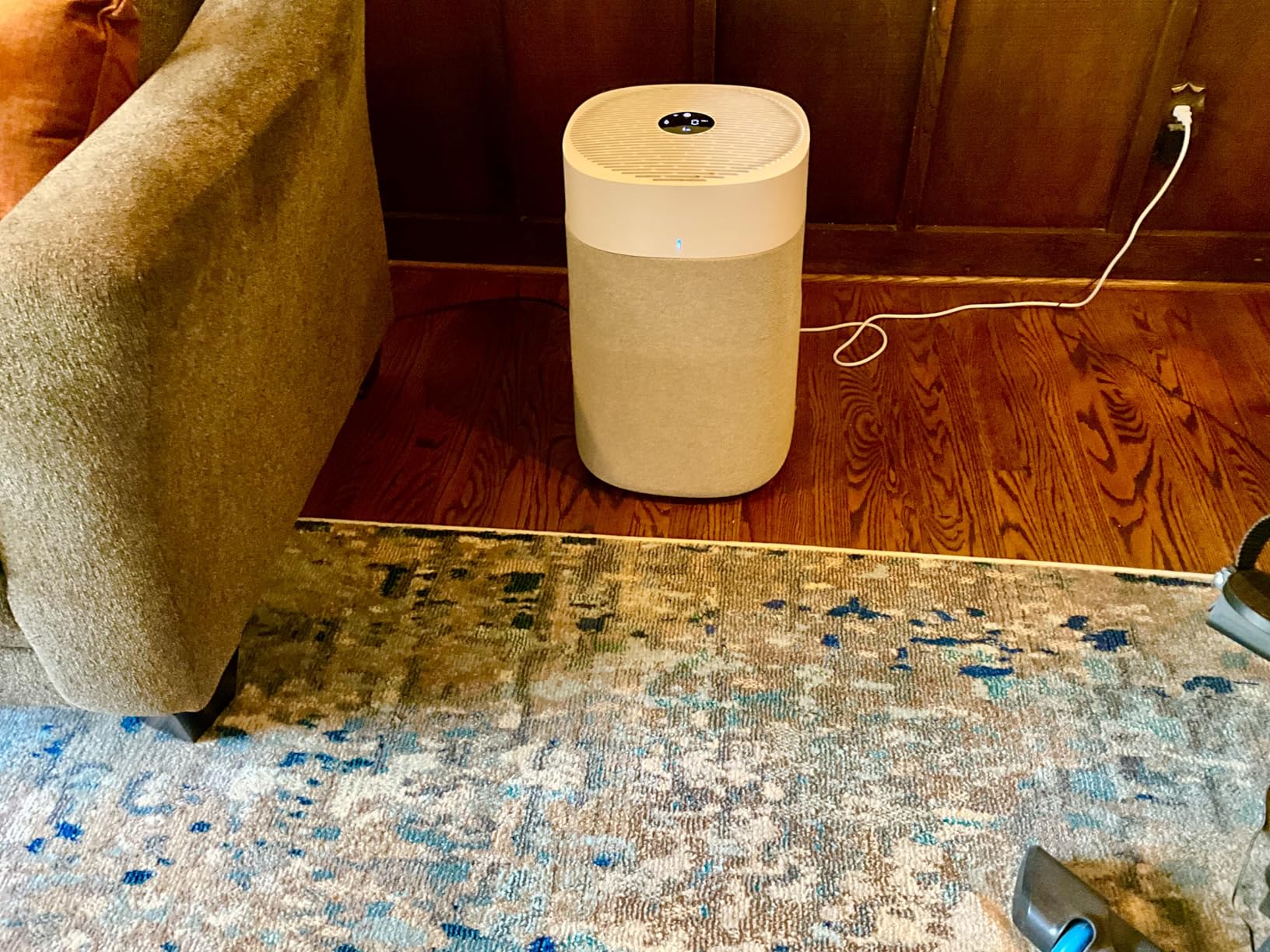 Genuine Pre-Filter Blue Pure 211i Max Air Purifier, Washable Fabric, Moss Green customer photo 1