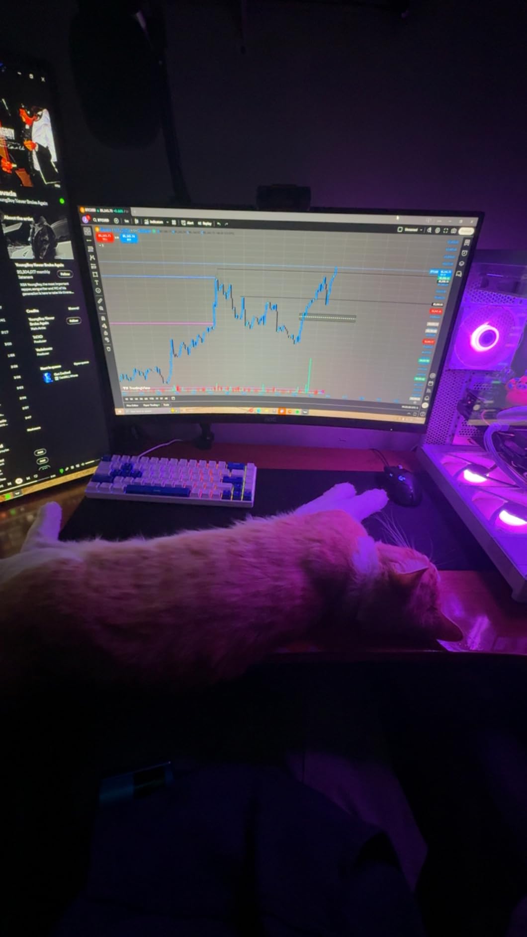 MageGee Portable 60% Mechanical Gaming Keyboard, MK-Box LED Backlit Compact 68 Keys Mini Wired Office Keyboard with Red Switch for Windows Laptop PC Mac - Black/Grey customer photo 2