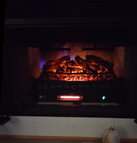 TURBRO Eternal Flame 26-Inch Infrared Quartz Electric Fireplace Log Heater, Realistic Lemonwood Logs, Adjustable Flame Colors, Remote Control, Thermostat, Timer, EF26-LG, 1500W customer photo 2