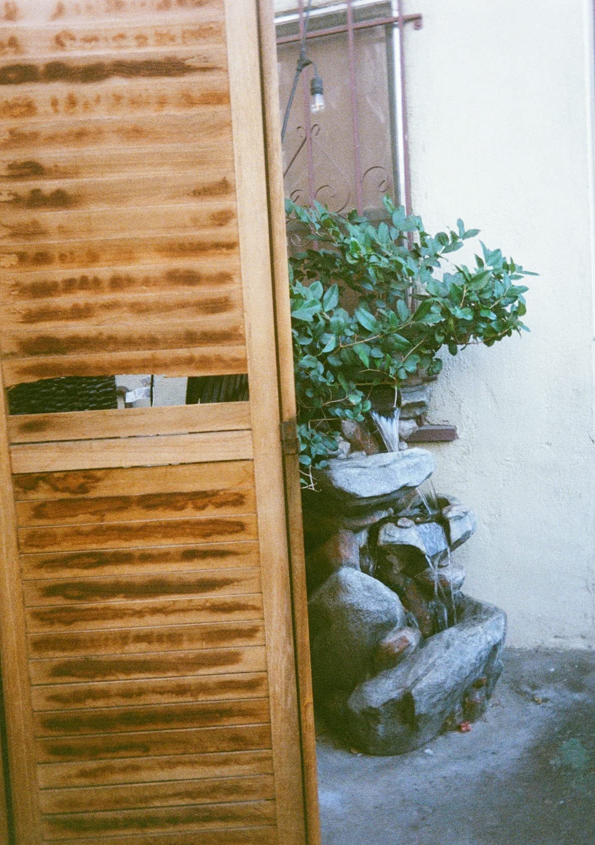 KODAK EKTAR H35 Half Frame Film Camera, 35mm, Reusable, Focus-Free, Lightweight, Easy-to-Use (Sage) customer photo 1