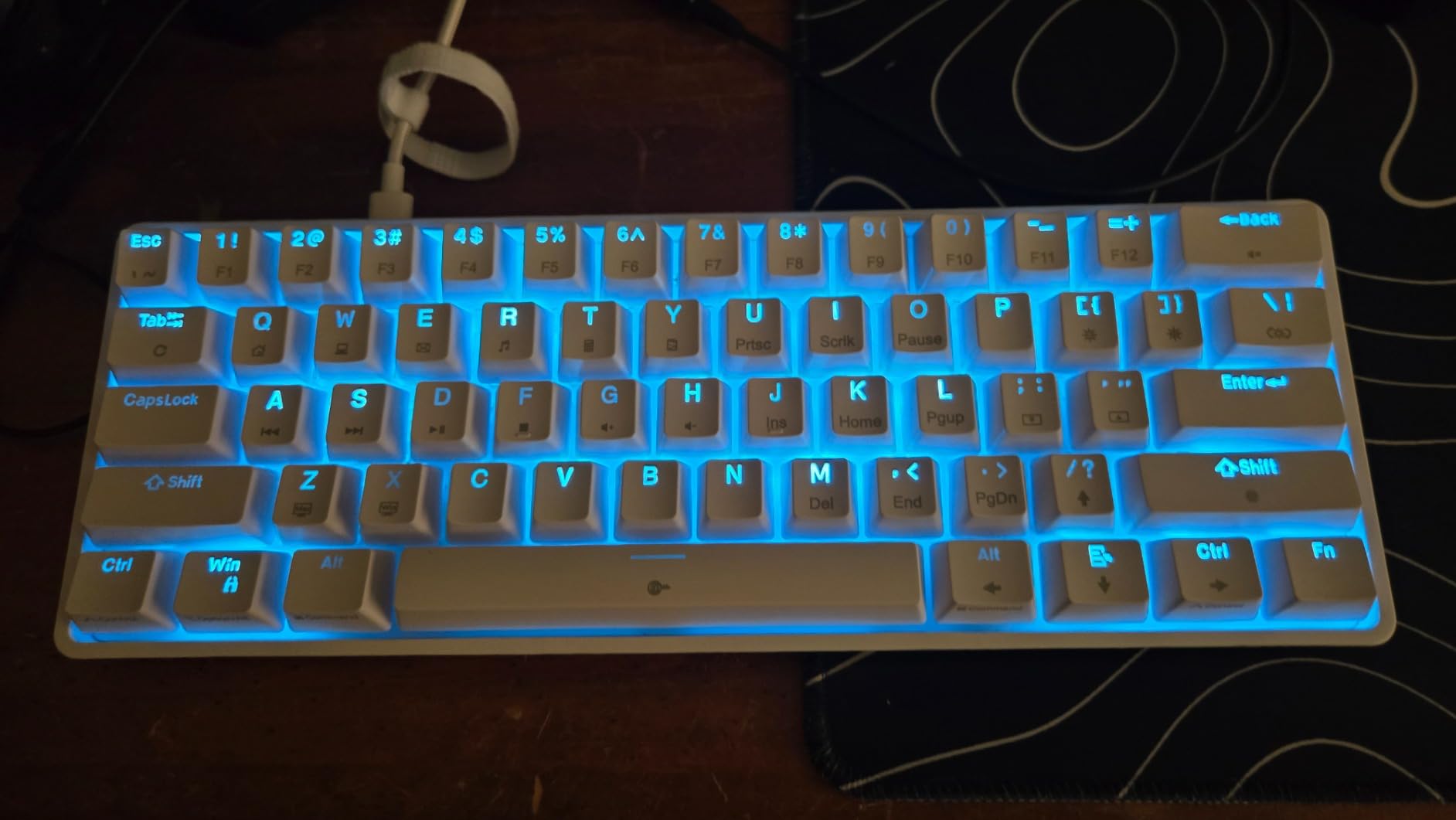DIERYA 60% Mechanical Keyboard, DK61se Wired Gaming Keyboard with Red Switches, LED Backlit Ultra-Compact 61 Keys Mini Office Keyboard for Windows Laptop PC Gamer Typist(White) customer photo 2
