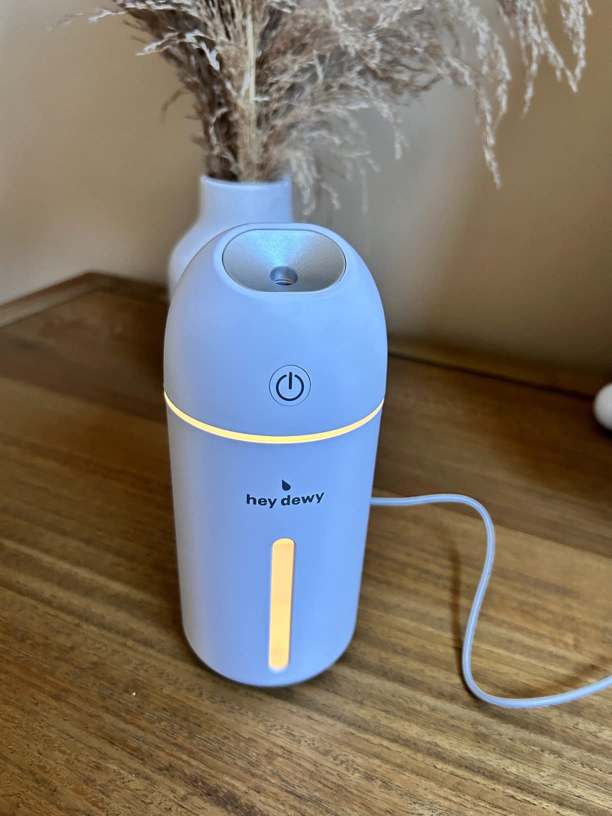 Hey Dewy Portable Facial Hydrating Cool Mist Humidifier (USB Wired Version) customer photo 1