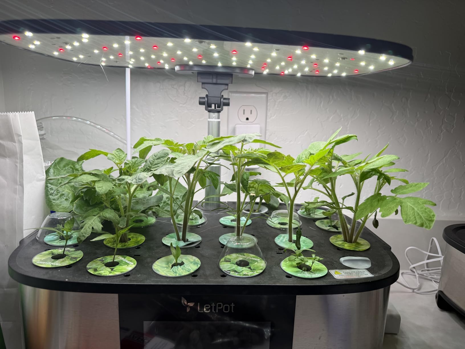 LetPot LPH-Max Hydroponics Growing System Kit, 21 Pods APP & WiFi Automatic Controlled Smart Indoor Garden with 36W LED Grow Light customer photo 1