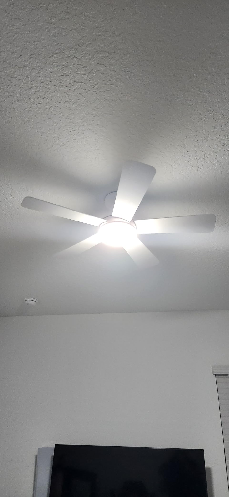 addlon Ceiling Fans with Lights, 42 Inch Low Profile Ceiling Fan with Light and Remote Control, Flush Mount, Reversible, 3CCT, Dimmable, Quiet, Black Small Ceiling Fan for Bedroom Indoor/Outdoor Use customer photo 1