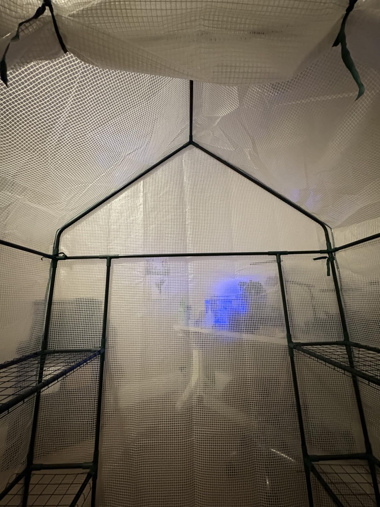 Greenhouse, Portable Mini Walk-in Green House for Outdoors with Roll-up Zipper Door, Anchors, and UV-Resistant Cover customer photo 2