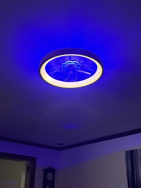 Fszdorj 20'' Ceiling Fan with Light, Upgraded Low Profile Ceiling Fan with Light, Dimmable Flush Mount Ceiling Fan with Light, Fan light, 6 Speeds, App & Remote Control, Quiet Fan for Bedroom, Kitchen customer photo 1