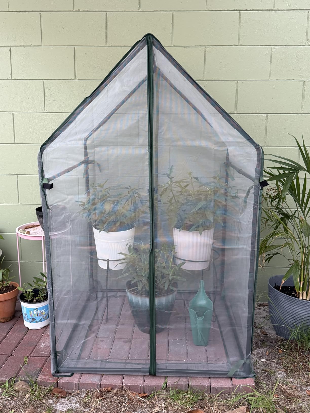 Gardzen Mini Greenhouse with Zipped Mesh Cover, Steel Frame Portable Outdoor Greenhouse, Enhanced Ventilation, Ideal for Spring, Summer & Fall 36.2