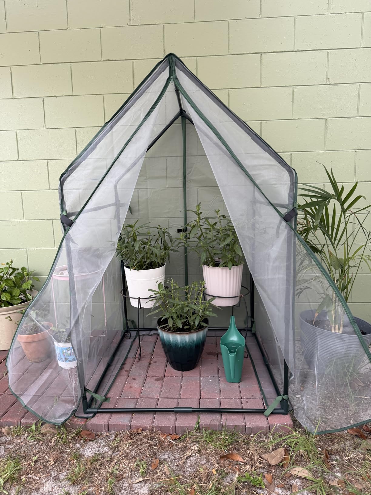 Gardzen Mini Greenhouse with Zipped Mesh Cover, Steel Frame Portable Outdoor Greenhouse, Enhanced Ventilation, Ideal for Spring, Summer & Fall 36.2