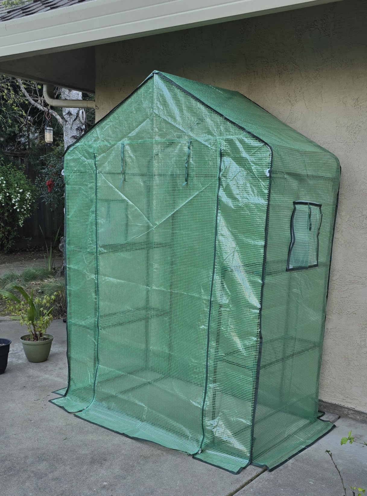 Greengro Greenhouse, 28 x 57 x 76'' Greenhouses for Outdoors, Small Plant Green House with Screen Windows, 3 Tiers 4 Shelves, Durable PE Cover, Plastic Portable Walk in Greenhouses for Outside Indoor customer photo 2