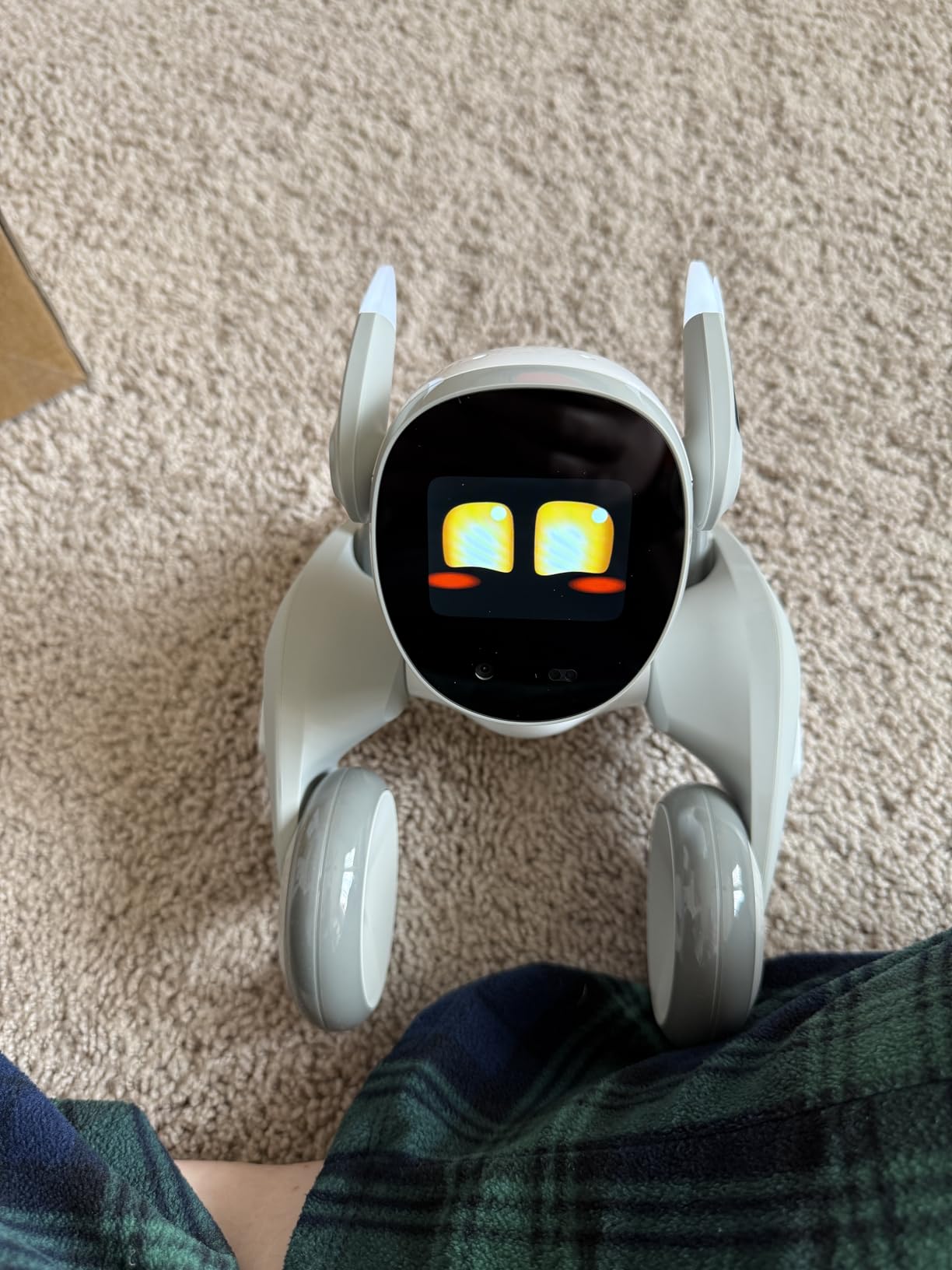 Loona Robot Pet Dog ChatGPT-4o Smart AI-Powered Companion Voice & Gesture Control, Real-Time Interaction Robotics Toys for Kids, Home Monitoring - Includes Charging Dock customer photo 2