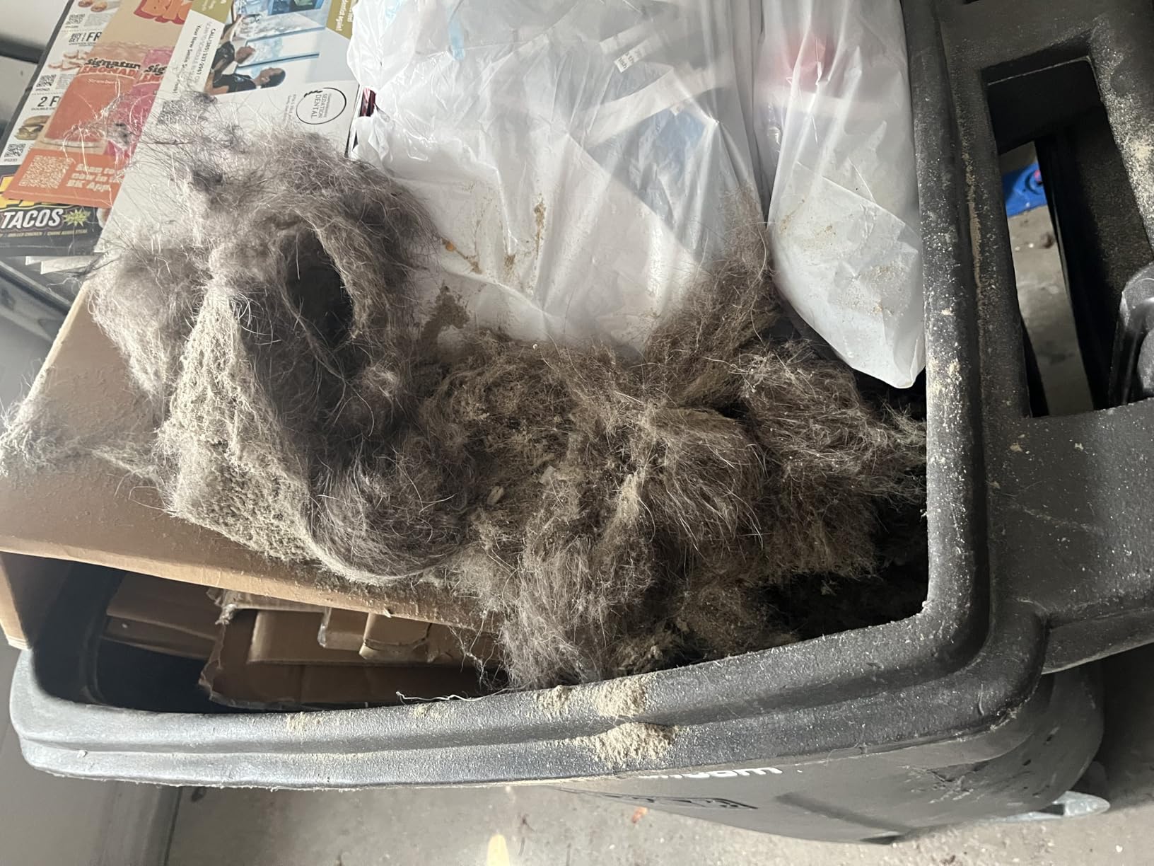 Bissell Pet Hair Eraser Allergen Lift-Off with Powerful Suction, HEPA, Tangle-Free Brush Roll, 39883 customer photo 2