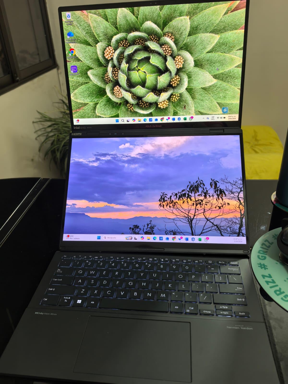 Zenbook Duo Laptop, Dual 14
