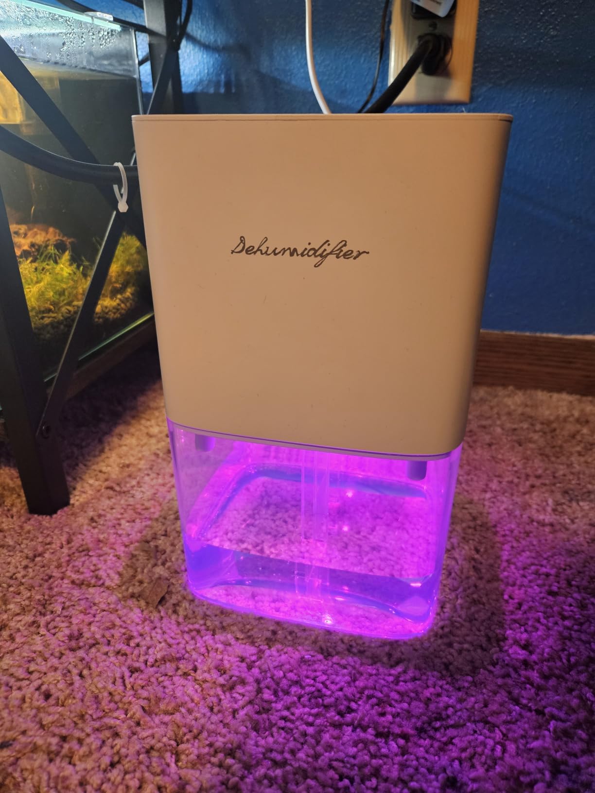 Dehumidifier 1657ML 58OZ Small Dehumidifier for Home 230 Ft² Safety Dehumidifiers Adjustable 10 Color Lights 5 Timers 3 Setting Modes Auto Shut Off Protection Low Noise For Bedroom Bathroom customer photo 1