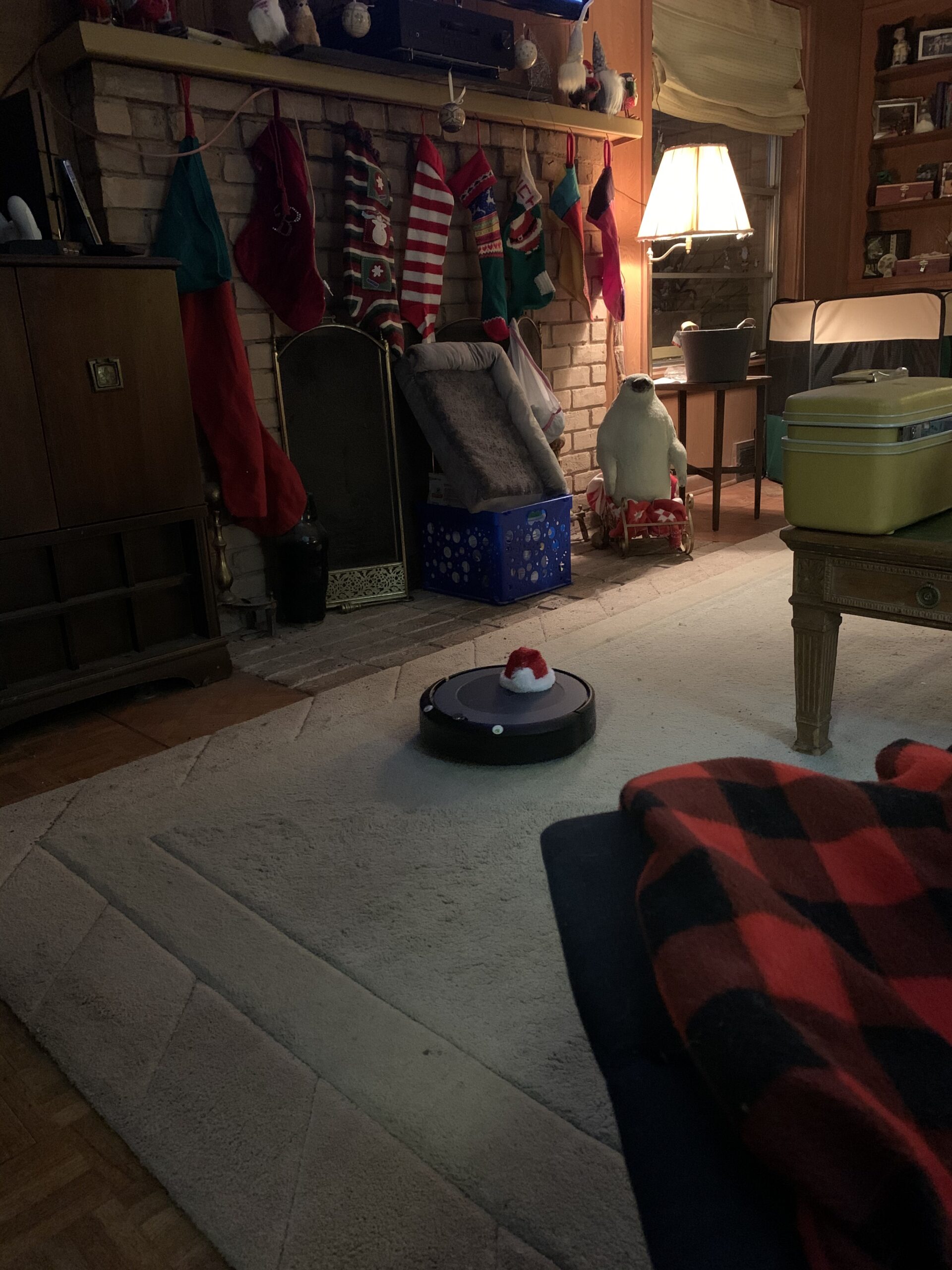iRobot Roomba 105 Vac Robot Vacuum with AutoEmpty Dock - Self-Empties for 75 Days, Easy to use, Intense Power-Lifting Suction, LiDAR Navigation, Multi-Surface Cleaning, Cleans in Neat Rows customer photo 1