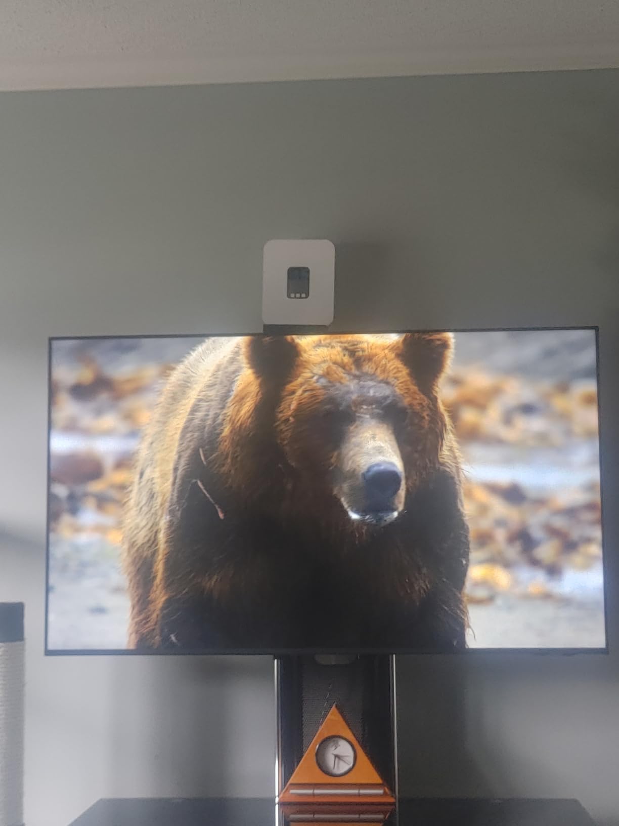 Samsung 75-Inch Class Crystal UHD U8000F 4K Smart TV (2025 Model) Endless Free Content Processor, MetalStream Design, Knox Security, Alexa Built-in customer photo 2