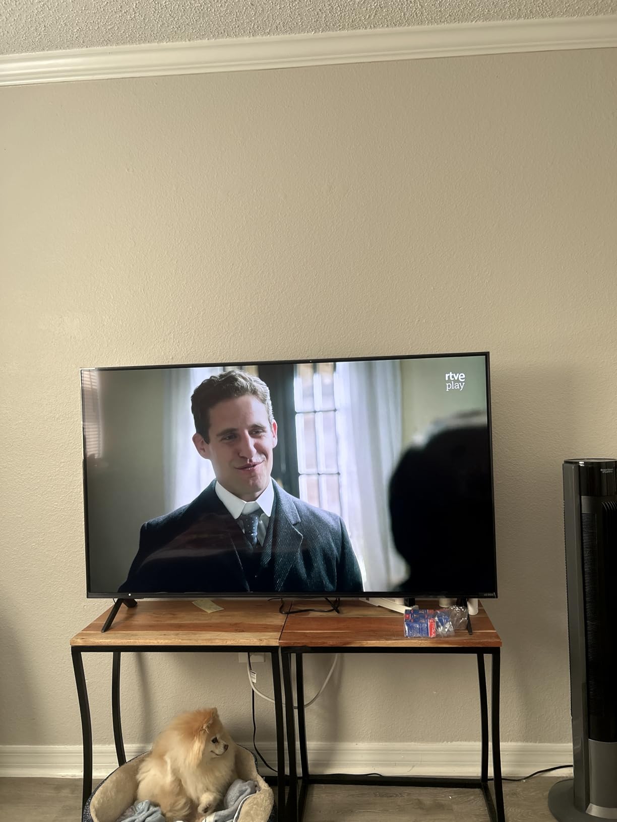 LG 55-Inch Class QNED AI 4K QNED82A Series Smart TV w/AI Sound, HDR10, 4K Super Upscaling, Filmmaker Mode, Wow Orchestra, Alexa Built-in (55QNED82AUA, 2025) customer photo 1