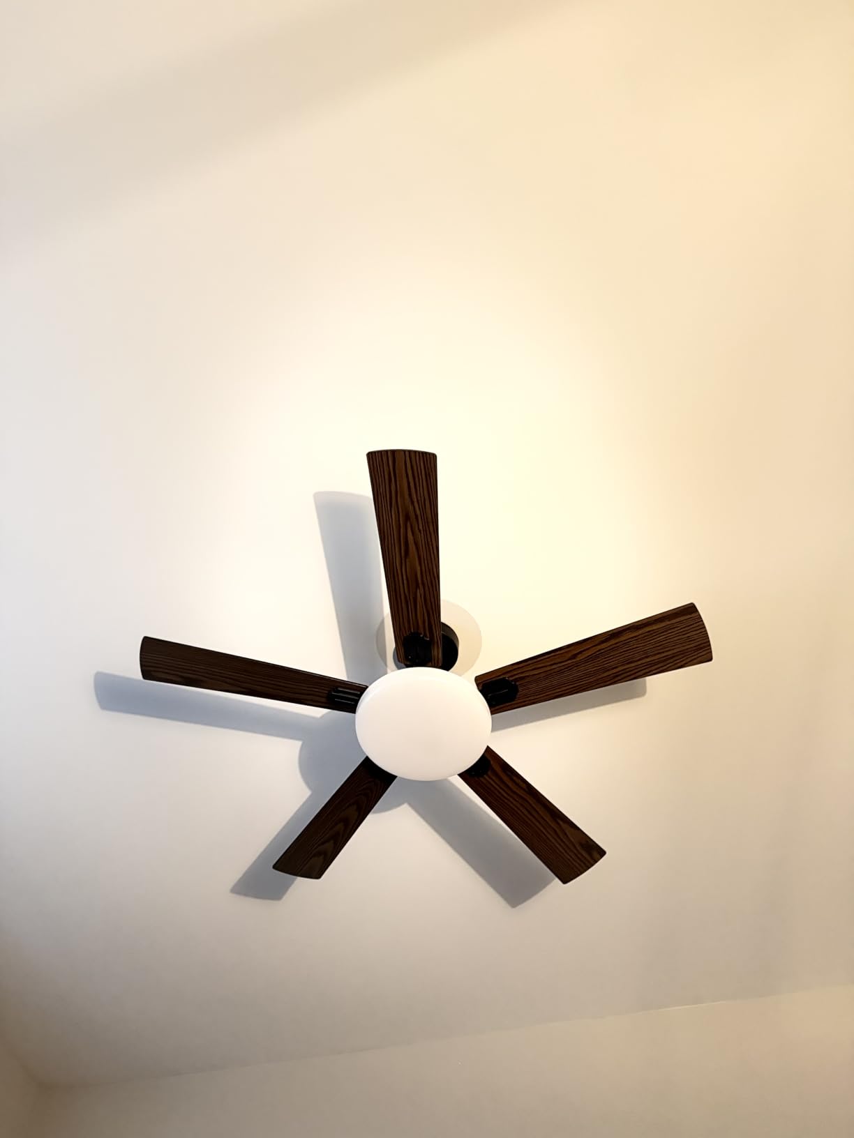 Passky Ceiling Fans with Lights, 52 inch Sleek Ceiling Fan with Light and Remote Control, 3CCT, Dimmable, Reversible, Noiseless, Black Ceiling Fan for Bedroom, Living Room customer photo 2
