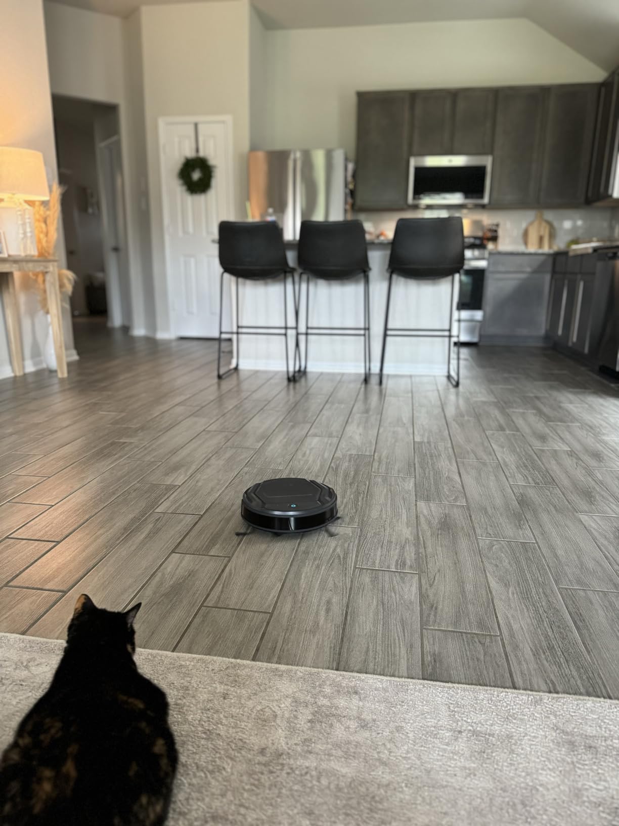 Lefant Robot Vacuum Cleaner, 120 Mins Runtime, Compact Design, Low Noise, Powerful Suction, Wi-Fi/App/Voice Control, Self-Charging, Scheduled Cleaning, Ideal for Pet Hair and Hard Floors, M210 Black customer photo 1