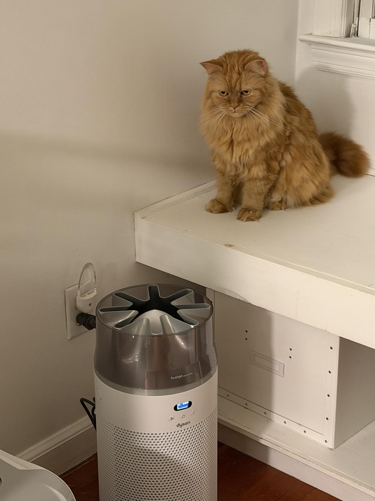 Hushjet Compact Purifier, Engineered for Powerful, Whisper-quiet, Whole-room Air Purification, Homes with Pets, Allergies, Fully-sealed filtration, 5-year no change filter (White/Silver) customer photo 1