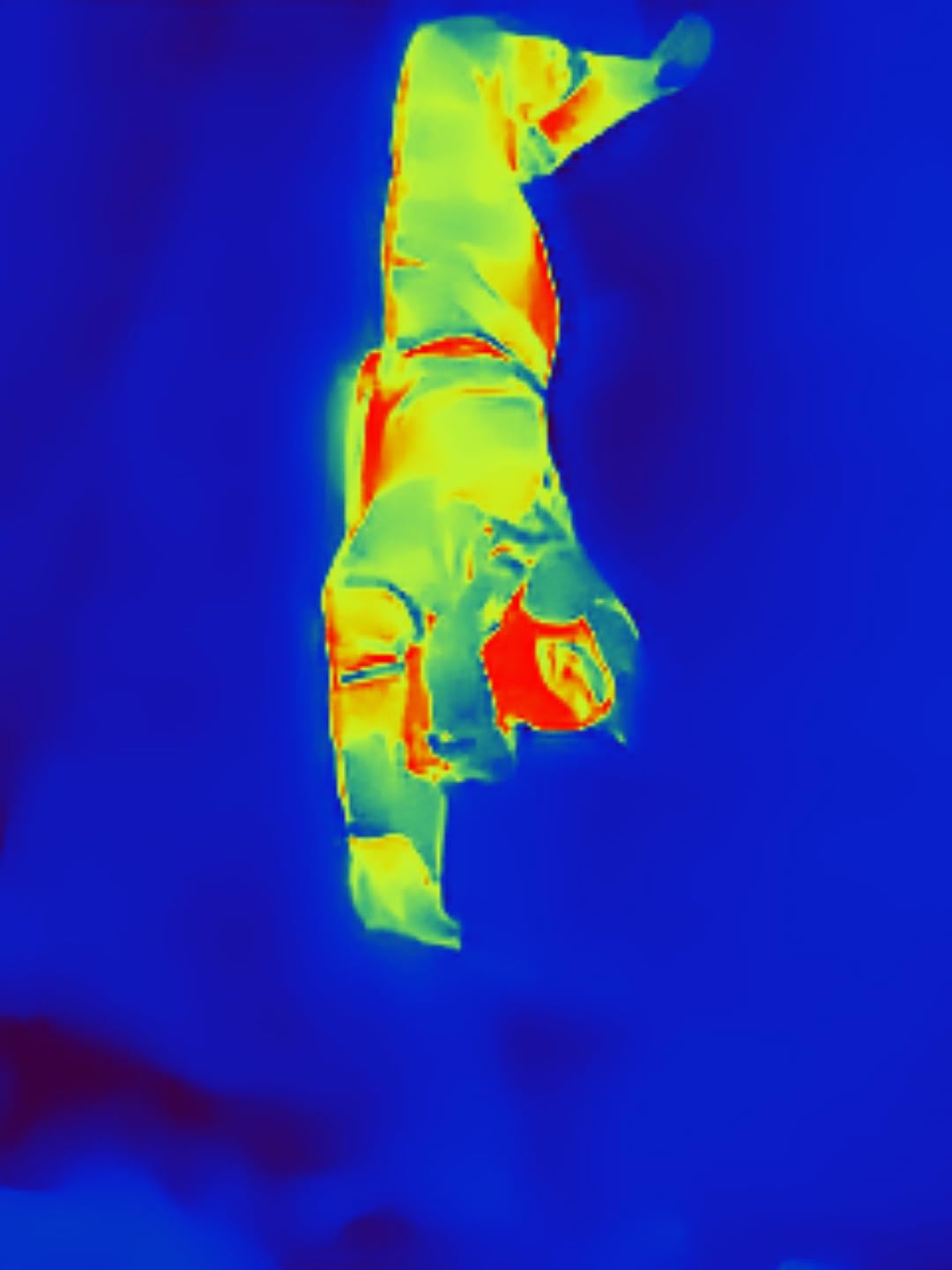 Thermal Master Thermal Camera for USB-C iPhone and Android, P1 Thermal Imaging Camera with 320×240 X³ IR Resolution, -4℉ to 1112℉, 160×120 Infrared Camera customer photo 1