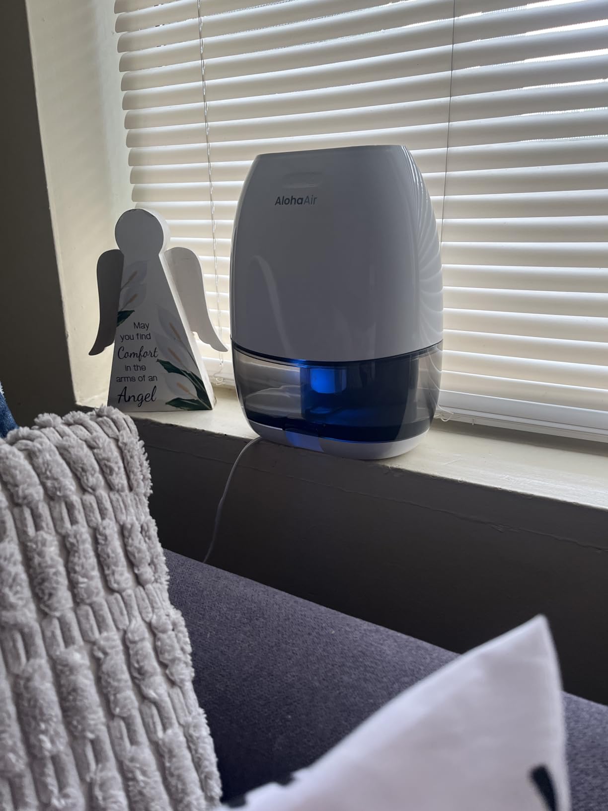 Dehumidifier, AlohaAir 34 OZ Small Dehumidifiers for Home and Room, Quiet with 7 Colors Night Light, Auto Shut Off, Dehumidifiers for Bedroom, Bathroom, RV, and Closet customer photo 1
