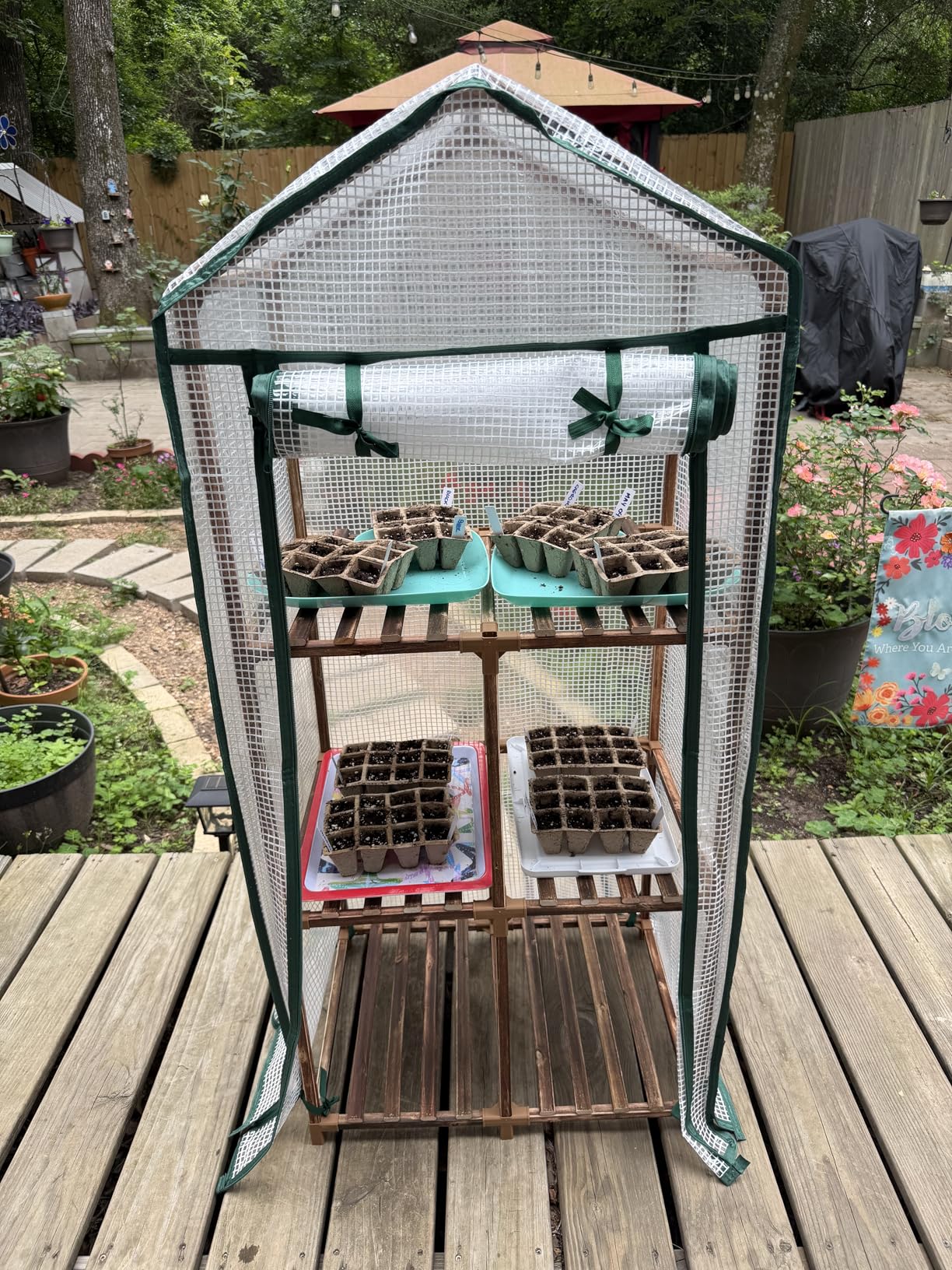 Bamworld Green House for Outdoors Mini Greenhouse Indoor Portable Green House with PE Cover Sturdy Eucalyptus Wood Frame Small Greenhouse for Winter Plant Garden Hot House 23 x 17 x 54-Inch customer photo 2