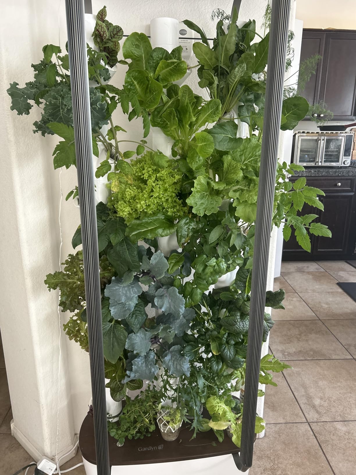Gardyn Home 4 Vertical Hydroponics Growing System Kit - 30 Non-GMO Plants, Smart Garden w/LED Grow Lights customer photo 2