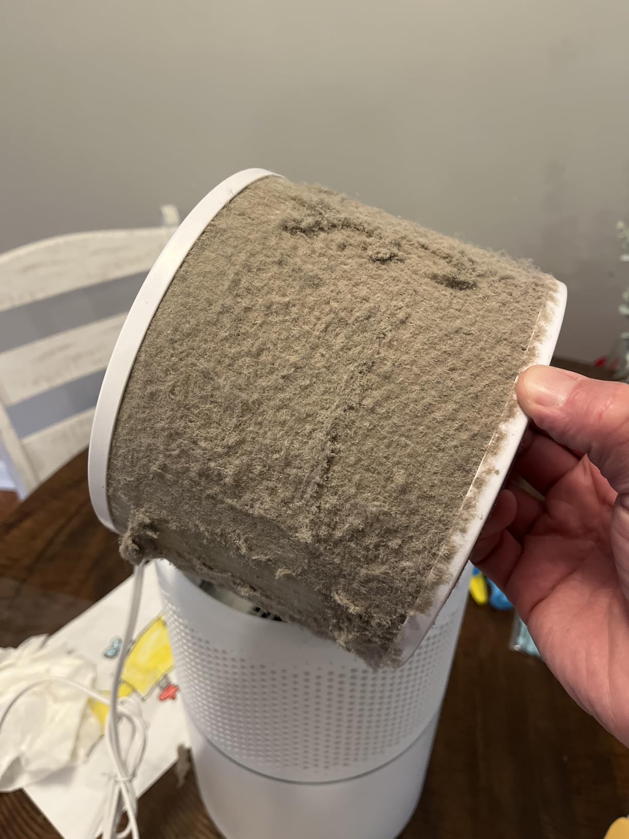 LEVOIT Air Purifiers for Home Bedroom, HEPA Sleep Mode, AHAM VERIFIDE, Smart WiFi for Home Large Room, Quiet Cleaner for Pet Hair, Allergies, Dust, Smoke, Pollen, Alexa Control, Core300S-P, White customer photo 2