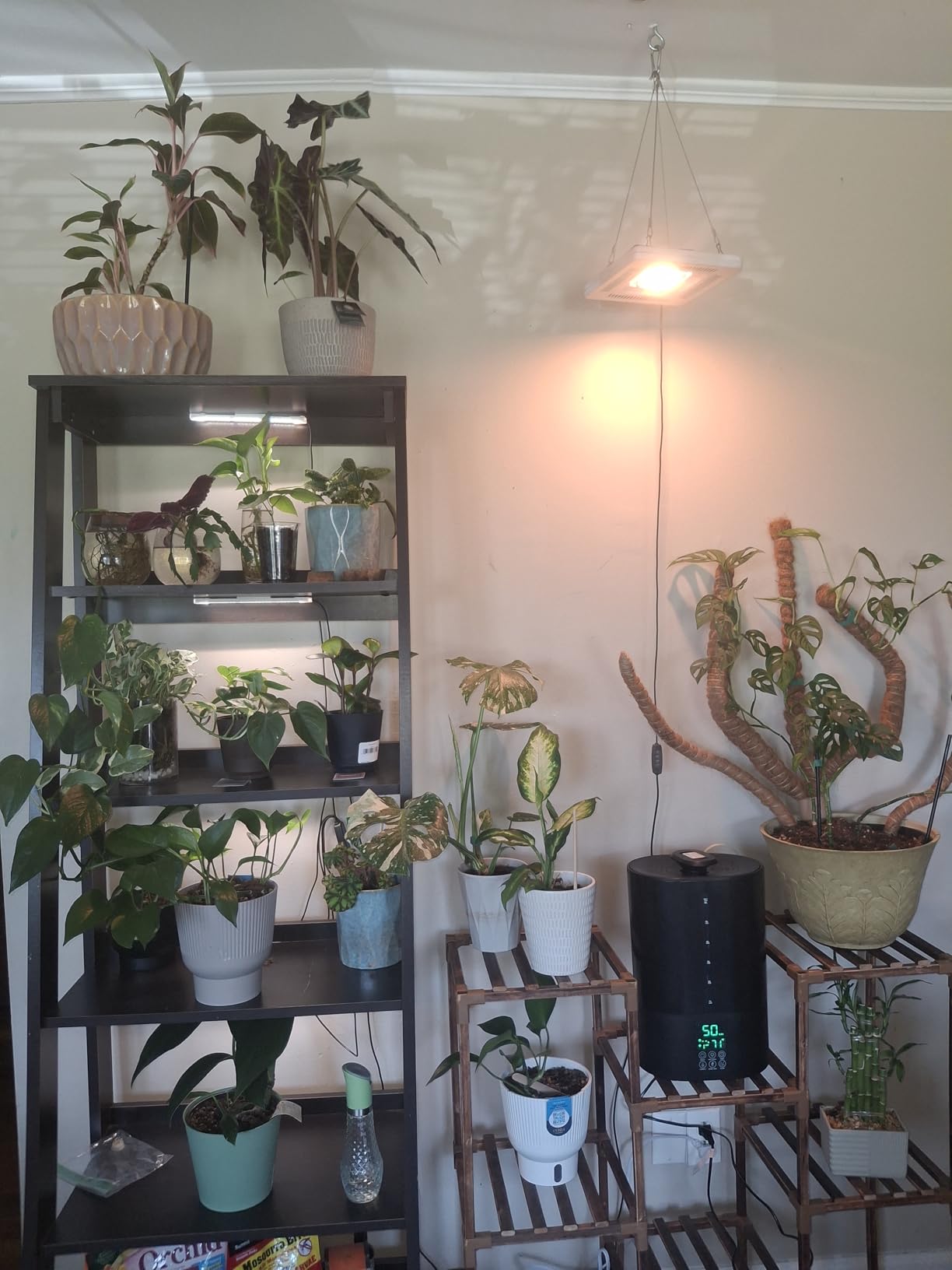 Coolfiqu 6L Humidifiers for Bedroom Large Room Home,Cool and Warm Humidifier for Baby and Plants Hot Mist Top Fill Desk Humidifiers Oil Diffuser,Quiet,Adjustable Mist,360°Nozzle-Black(2026 Upgraded) customer photo 1
