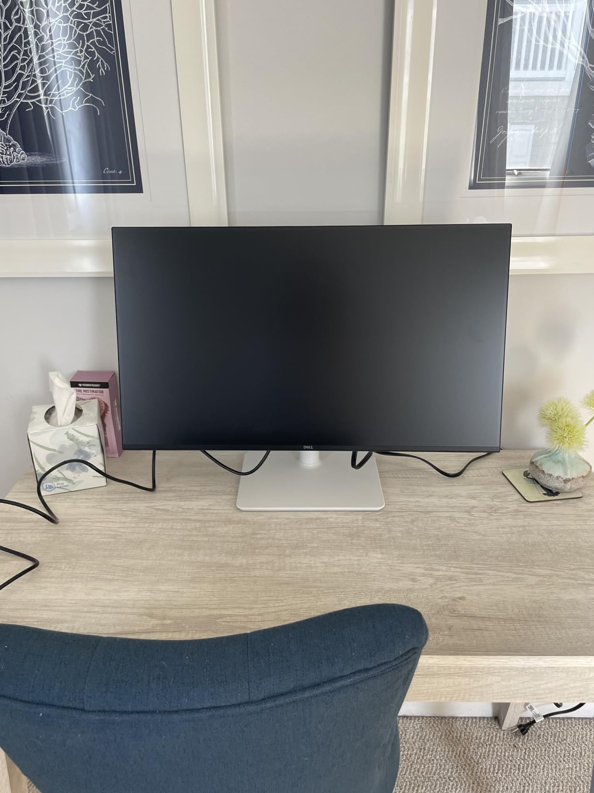 Dell 27 Plus Monitor - S2725HSM - 27-inch FHD (1920x1080) 144Hz 1ms Display, 2 x 3W Speakers, HDMI Connectivity, Height/Tilt/Pivot/Swivel Adjustability, AMD FreeSync - Ash White customer photo 1